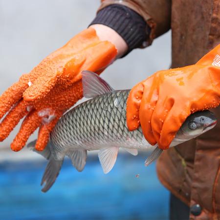 Fabricante de guantes de trabajo